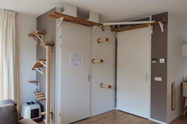 DIY – climbing wall for cats Katten klimmuur