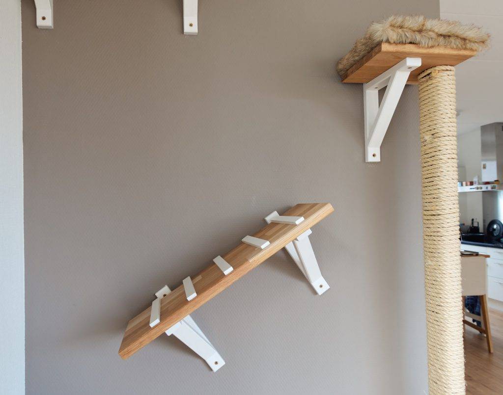 DIY climbing wall for cats Vivianne Yi Wei