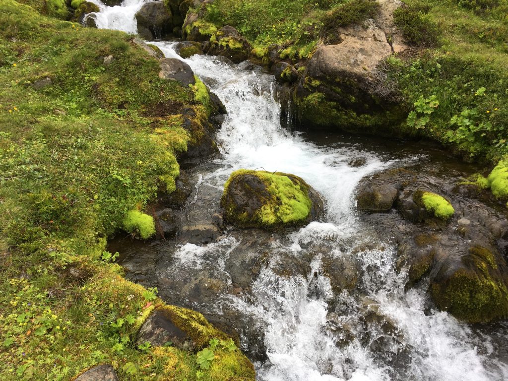 Watertje langs een wandeling