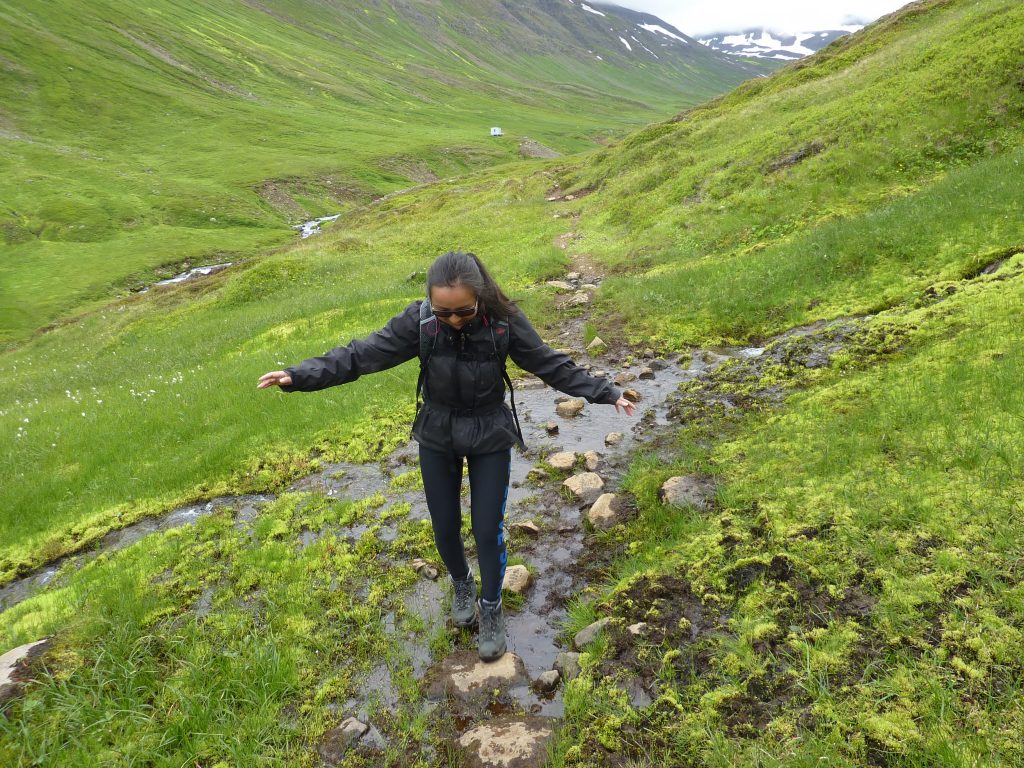 Wandeling door ondiep water