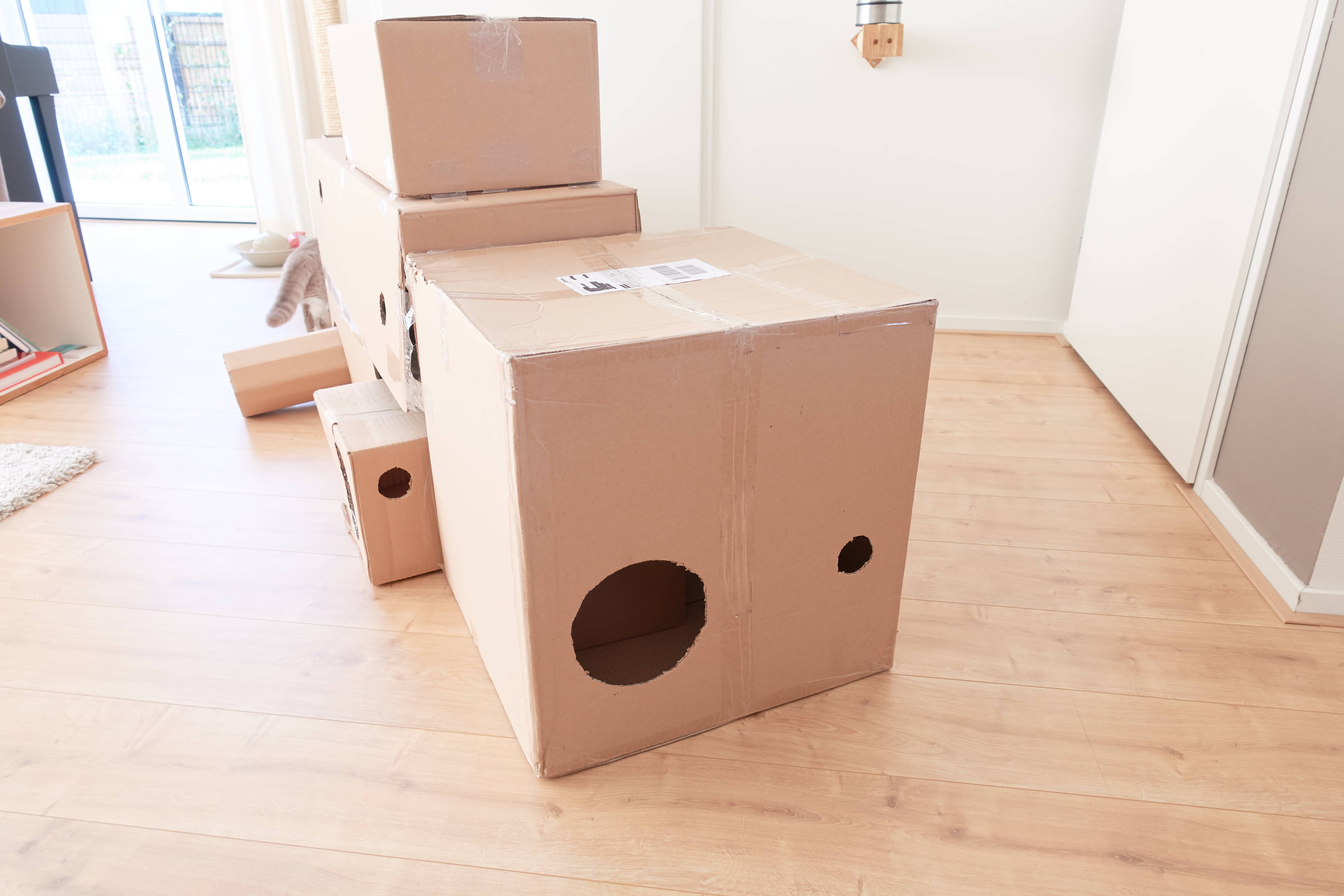 Ondoorzichtig Varken Doorbraak DIY - Kartonnen dozen ombouwen tot katten fort - Vivianne Yi Wei