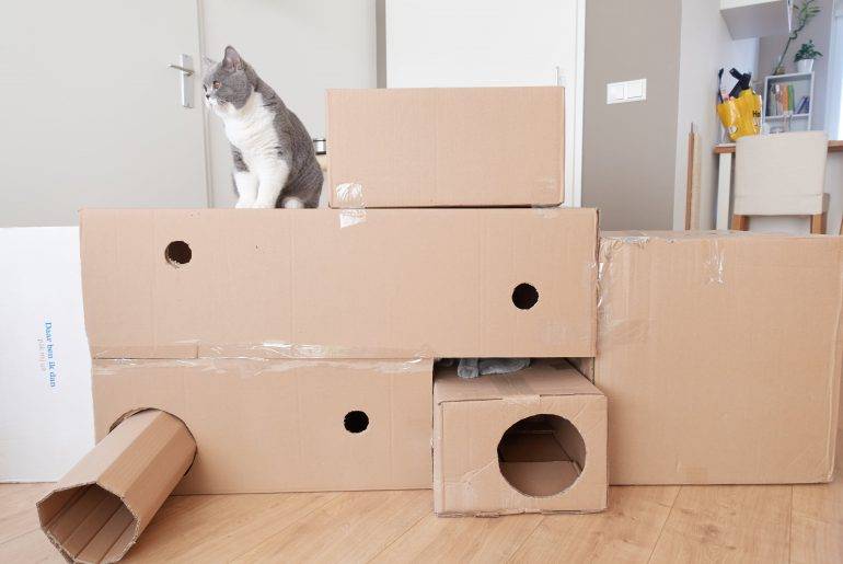DIY – Kartonnen dozen ombouwen tot katten fort