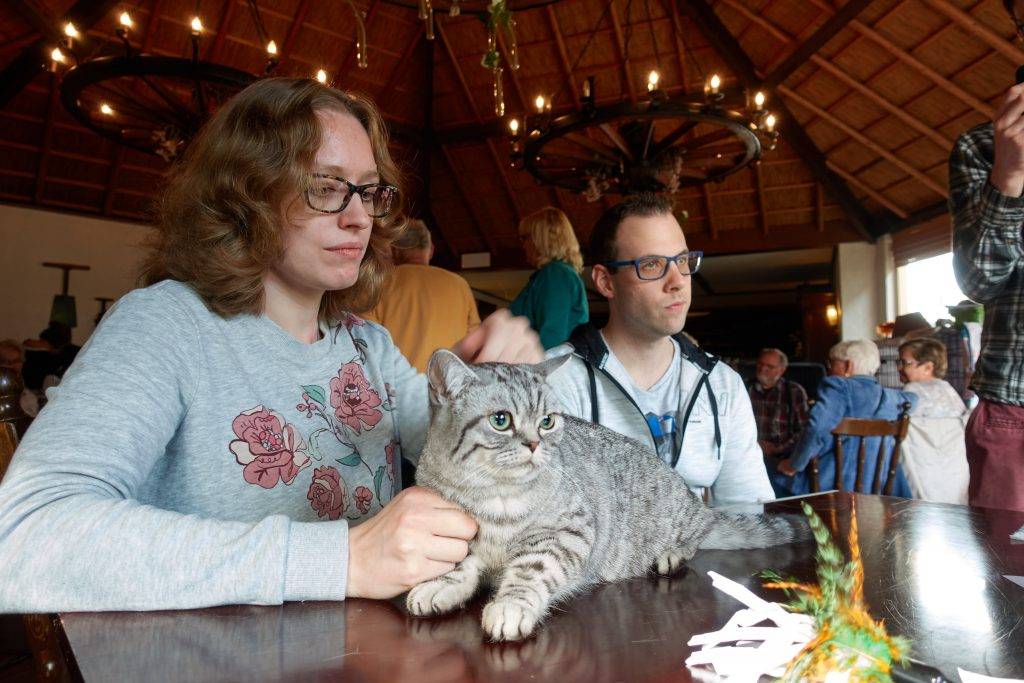 Fabulous Fancy Brinkman met Ganna en Michel van Cattery Best Catch