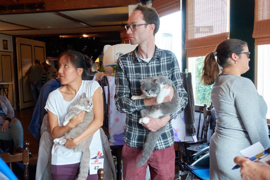 Best Catch Daring Pebbles en Best Catch Delicate Marble