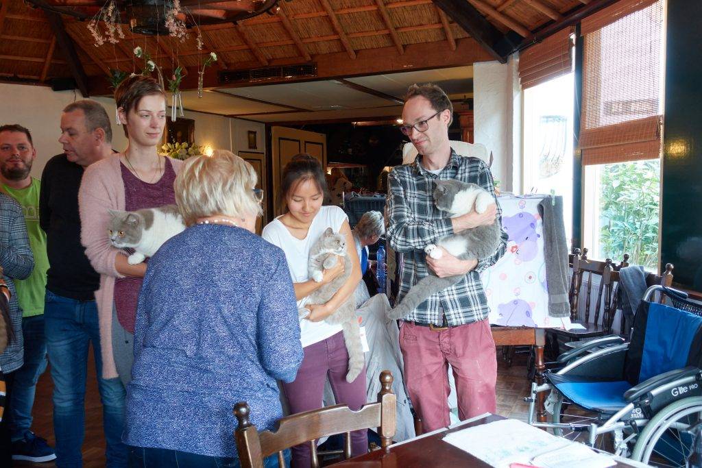 Best Catch Daring Pebbles en Best Catch Delicate Marble