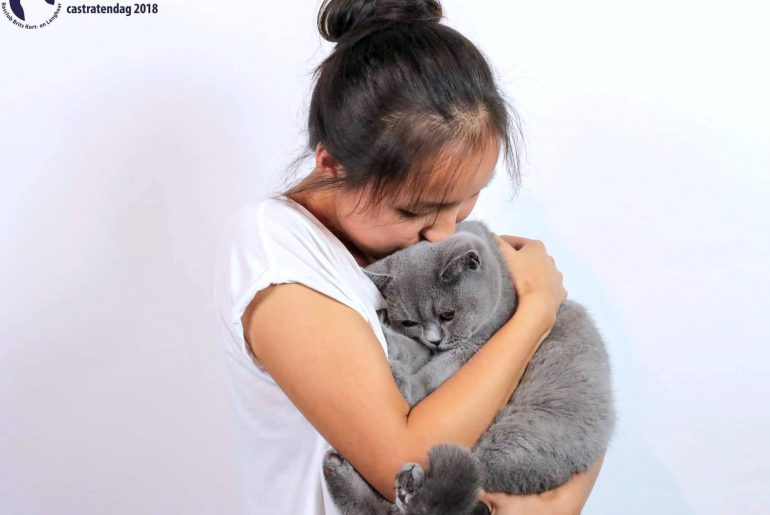 Foto’s kattenshow